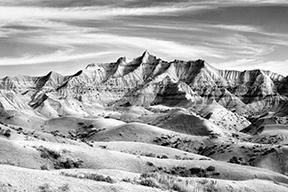 Stacks Image 2682