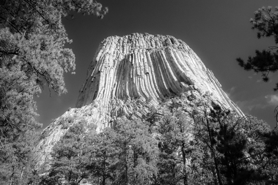 Stacks Image 2965