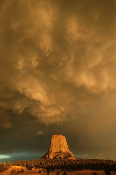 Stacks Image 2975