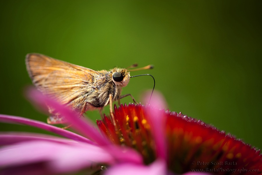 Stacks Image 11
