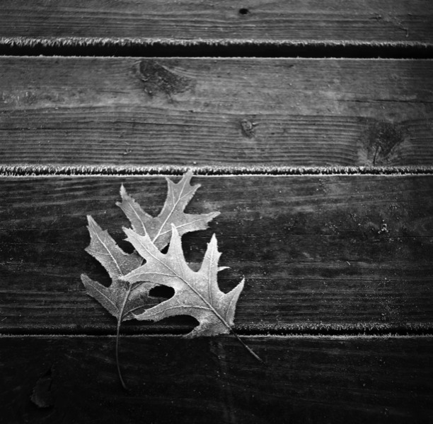 Stacks Image 925